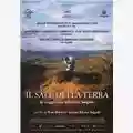 Wim Wenders, Juliano Ribeiro Salgado Il Sale della Terra