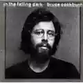 Bruce Cockburn In the Falling Dark
