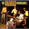 The Animals Animalisms
