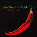 Steve Wynn & The Miracle 3 ... Tick... Tick... Tick