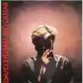 David Sylvian Red Guitar