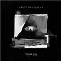 Alice in Chains Rainier Fog