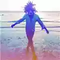 Lenny Kravitz Raise Vibration