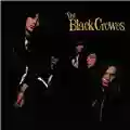 The Black Crowes Shake Your Money Maker