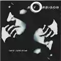 Roy Orbison Mystery Girl