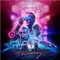 Muse Simulation Theory