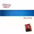 Denny Laine Anyone Can Fly