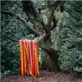 James Holden & The Animal Spirits The Animal Spirits