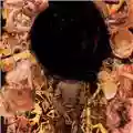 Miscarriage Imminent Horror