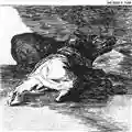 The Dead C Tusk