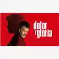 Pedro Almodovar Dolor Y Gloria