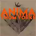 Thom Yorke Anima