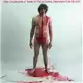 Jay Reatard Blood Visions
