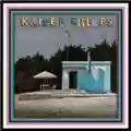 Kaiser Chiefs Duck