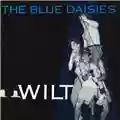 Blue Daisies Wilt