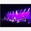 Wilco Live @ Gran Teatro Geox, Padova