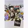 The Beatles The Beatles Anthology DVD