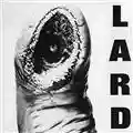 Lard The Power of Lard
