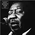 Muddy Waters Live