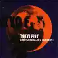 Chu Ishikawa & Der Eisenrost Tokyo Fist