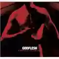 Godflesh A World Lit Only by Fire