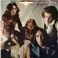 Flamin' Groovies Flamingo