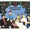 Effervescent Elephants From The End To The Beginning