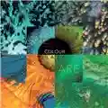 Colour Haze We Are