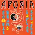 Sufjan Stevens, Lowell Brams Aporia