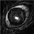 Carpe Noctem Vitrun