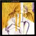 Robert Fripp Let the Power Fall