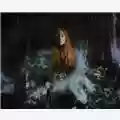 Tori Amos Native Invader