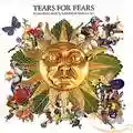 Tears for Fears Tears Roll Down: Greatest Hits 82-92