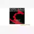 Mimmo Cavallo Quando saremo fratelli uniti