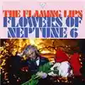 The Flaming Lips Flowers of Neptune 6 [Official Music Video]