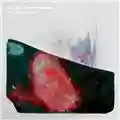 Ian William Craig Red Sun Through Smoke