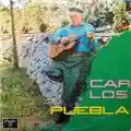 Carlos Puebla Carlos Puebla