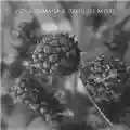 Vidna Obmana & David Lee Myers Tracers