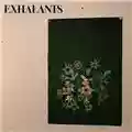 Exhalants Atonement