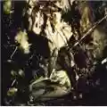 Fields of the Nephilim Elizium