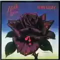 Thin Lizzy Black Rose: A Rock Legend