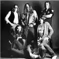 Molly Hatchet Nella terra dell'alligatore. La storia dei Molly Hatchet 1978-1983