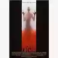 Gus Van Sant Psycho (remake)