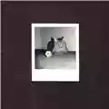 The goalie's anxiety at the penalty kick Ways of Hearing