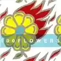 100 Flowers 100 Years of Pulchritude