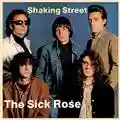 The Sick Rose Shaking Street
