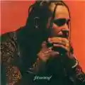 Post Malone Stoney