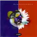 Dave Matthews Band Crash