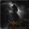 Pain of Salvation Panther