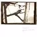 Tim Hecker Radio Amor
